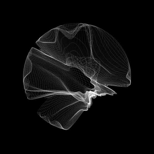 Wireframe flexibility visualization